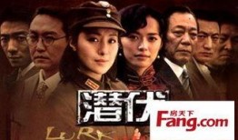 潜伏30在线观看,揭秘神秘潜伏者背后的惊心动魄故事